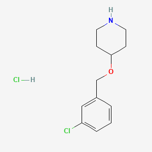 molecular formula C12H17Cl2NO B1439267 4-[(3-氯苄氧基)哌啶]盐酸盐 CAS No. 1185020-93-2