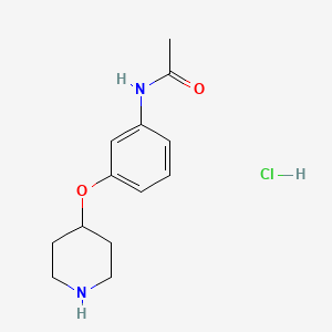 molecular formula C13H19ClN2O2 B1439268 N-[3-(4-Piperidinyloxy)phenyl]acetamide hydrochloride CAS No. 459819-36-4