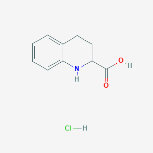 1,2,3,4-Tetrahydroquinoline-2-carboxylic acid hydrochloride