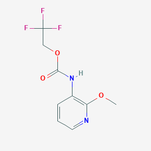 molecular formula C9H9F3N2O3 B1439517 2,2,2-三氟乙基 N-(2-甲氧基吡啶-3-基)氨基甲酸酯 CAS No. 1210138-46-7