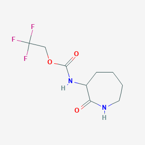 molecular formula C9H13F3N2O3 B1439574 2,2,2-trifluoroethyl N-(2-oxoazepan-3-yl)carbamate CAS No. 1214168-04-3