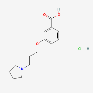 molecular formula C14H20ClNO3 B1439584 3-(3-吡咯烷-1-基丙氧基)-苯甲酸盐酸盐 CAS No. 1185303-05-2