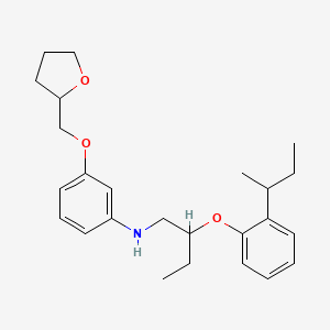 molecular formula C25H35NO3 B1439609 N-{2-[2-(Sec-butyl)phenoxy]butyl}-3-(tetrahydro-2-furanylmethoxy)aniline CAS No. 1217836-37-7