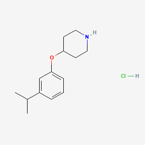 molecular formula C14H22ClNO B1439677 4-(3-Isopropylphenoxy)piperidine hydrochloride CAS No. 1185298-29-6