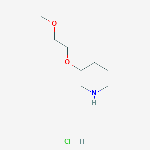 molecular formula C8H18ClNO2 B1439683 3-(2-甲氧基乙氧基)哌啶盐酸盐 CAS No. 1185054-32-3