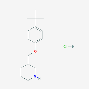 molecular formula C16H26ClNO B1439700 4-(tert-Butyl)phenyl 3-piperidinylmethyl ether hydrochloride CAS No. 1185297-86-2