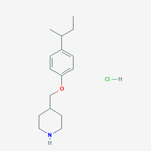 molecular formula C16H26ClNO B1439702 4-{[4-(叔丁基)苯氧基]甲基}哌啶盐酸盐 CAS No. 1185301-09-0