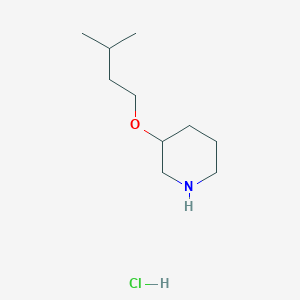 molecular formula C10H22ClNO B1439703 3-(Isopentyloxy)piperidine hydrochloride CAS No. 1185301-47-6