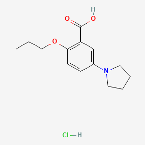 molecular formula C14H20ClNO3 B1439727 2-丙氧基-5-吡咯烷-1-基-苯甲酸盐酸盐 CAS No. 1185038-20-3