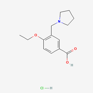molecular formula C14H20ClNO3 B1439731 4-乙氧基-3-吡咯烷-1-基甲基-苯甲酸盐酸盐 CAS No. 1185293-19-9