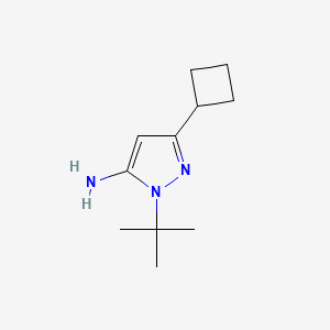 molecular formula C11H19N3 B1439830 1-叔丁基-3-环丁基-1H-吡唑-5-胺 CAS No. 817641-86-4