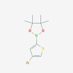 molecular formula C10H14BBrO2S B1439856 2-(4-Bromothiophen-2-yl)-4,4,5,5-tetramethyl-1,3,2-dioxaborolane CAS No. 942070-06-6