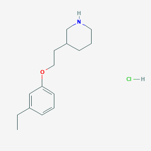 molecular formula C15H24ClNO B1439884 3-[2-(3-Ethylphenoxy)ethyl]piperidine hydrochloride CAS No. 1220032-04-1