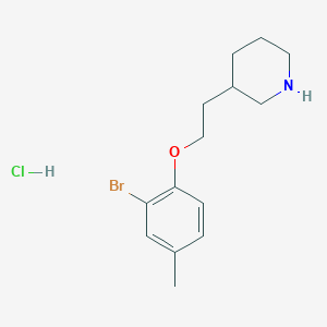 molecular formula C14H21BrClNO B1439890 3-[2-(2-Bromo-4-methylphenoxy)ethyl]piperidine hydrochloride CAS No. 1219957-70-6
