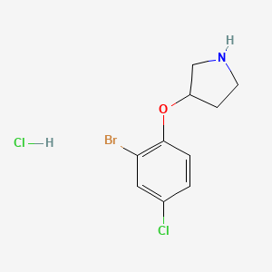 molecular formula C10H12BrCl2NO B1439906 3-(2-溴-4-氯苯氧基)吡咯烷盐酸盐 CAS No. 1220033-83-9