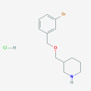molecular formula C13H19BrClNO B1439907 3-{[(3-Bromobenzyl)oxy]methyl}piperidine hydrochloride CAS No. 1219977-39-5
