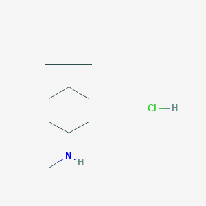 molecular formula C11H24ClN B1440239 4-tert-butyl-N-methylcyclohexan-1-amine hydrochloride CAS No. 1181457-86-2