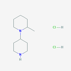 molecular formula C11H24Cl2N2 B1440242 2-Methyl-1-(piperidin-4-yl)piperidine dihydrochloride CAS No. 1181458-19-4