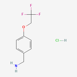 molecular formula C9H11ClF3NO B1440265 盐酸[4-(2,2,2-三氟乙氧基)苯基]甲胺 CAS No. 1211307-72-0