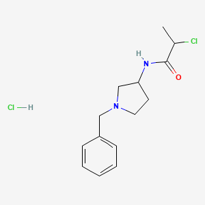 molecular formula C14H20Cl2N2O B1440266 N-(1-苄基吡咯烷-3-基)-2-氯丙酰胺盐酸盐 CAS No. 1210664-95-1
