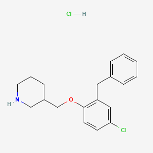molecular formula C19H23Cl2NO B1440419 2-Benzyl-4-chlorophenyl 3-piperidinylmethyl ether hydrochloride CAS No. 1185301-16-9