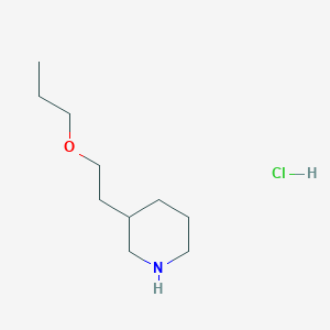 molecular formula C10H22ClNO B1440433 2-(3-Piperidinyl)ethyl propyl ether hydrochloride CAS No. 946727-29-3