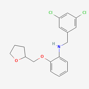 molecular formula C18H19Cl2NO2 B1440446 N-(3,5-Dichlorobenzyl)-2-(tetrahydro-2-furanylmethoxy)aniline CAS No. 1040683-97-3
