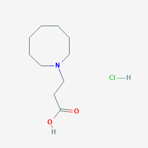 molecular formula C10H20ClNO2 B1440478 3-Azocan-1-ylpropanoic acid hydrochloride CAS No. 1185294-68-1