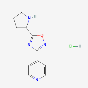 molecular formula C11H13ClN4O B1440489 4-(5-吡咯烷-2-基-1,2,4-恶二唑-3-基)-吡啶盐酸盐 CAS No. 1184979-18-7