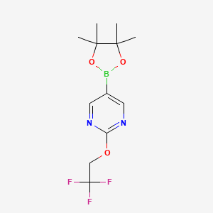 molecular formula C12H16BF3N2O3 B1440645 5-(4,4,5,5-四甲基-1,3,2-二氧杂硼环-2-基)-2-(2,2,2-三氟乙氧基)嘧啶 CAS No. 1351234-12-2
