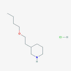 molecular formula C11H24ClNO B1440729 3-(2-Butoxyethyl)piperidine hydrochloride CAS No. 1219949-07-1