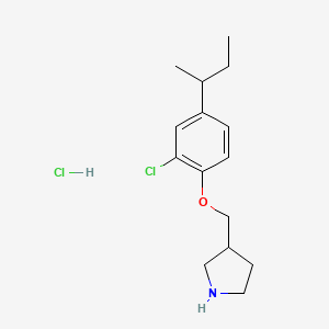 molecular formula C15H23Cl2NO B1440735 3-{[4-(仲丁基)-2-氯苯氧基]-甲基}吡咯烷盐酸盐 CAS No. 1219979-34-6
