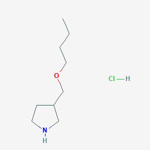 molecular formula C9H20ClNO B1440739 3-(丁氧基甲基)吡咯烷盐酸盐 CAS No. 1220036-70-3