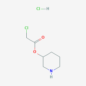 B1440744 3-Piperidinyl 2-chloroacetate hydrochloride CAS No. 1220037-48-8