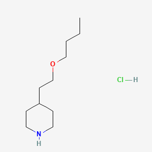 molecular formula C11H24ClNO B1440750 4-(2-丁氧基乙基)哌啶盐酸盐 CAS No. 1219967-64-2