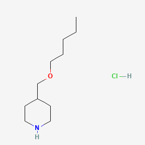 molecular formula C11H24ClNO B1440760 4-[(戊氧基)甲基]哌啶盐酸盐 CAS No. 1220027-09-7