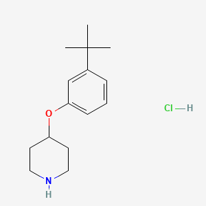 B1440768 4-[3-(Tert-butyl)phenoxy]piperidine hydrochloride CAS No. 1220027-89-3