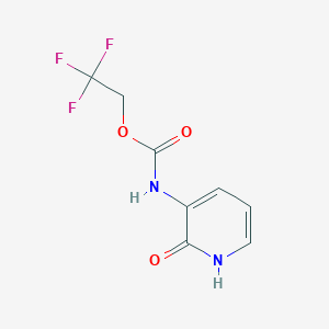 molecular formula C8H7F3N2O3 B1440786 2,2,2-三氟乙基 N-(2-氧代-1,2-二氢吡啶-3-基)氨基甲酸酯 CAS No. 1354951-83-9