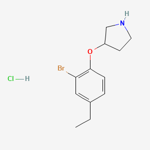 B1440793 3-(2-Bromo-4-ethylphenoxy)pyrrolidine hydrochloride CAS No. 1219967-92-6