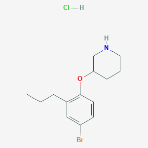 molecular formula C14H21BrClNO B1440794 3-(4-溴-2-丙基苯氧基)哌啶盐酸盐 CAS No. 1220017-64-0