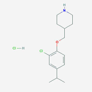 molecular formula C15H23Cl2NO B1440795 4-[(2-氯-4-异丙氧苯氧基)甲基]哌啶盐酸盐 CAS No. 1220019-92-0