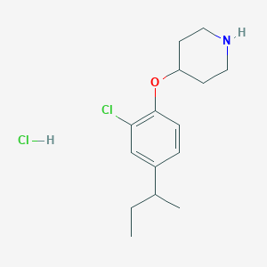molecular formula C15H23Cl2NO B1440796 4-[4-(叔丁基)-2-氯苯氧基]哌啶盐酸盐 CAS No. 1220030-91-0