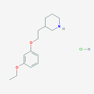 molecular formula C15H24ClNO2 B1440801 3-[2-(3-乙氧基苯氧基)乙基]哌啶盐酸盐 CAS No. 1219982-78-1