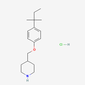 B1440802 4-{[4-(tert-Pentyl)phenoxy]methyl}piperidine hydrochloride CAS No. 1219976-18-7
