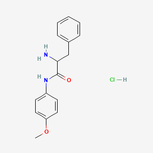 molecular formula C16H19ClN2O2 B1440807 2-氨基-N-(4-甲氧基苯基)-3-苯基丙酰胺盐酸盐 CAS No. 1246172-74-6