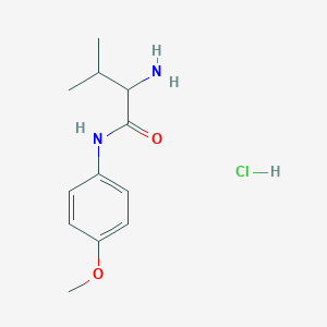 molecular formula C12H19ClN2O2 B1440808 2-氨基-N-(4-甲氧基苯基)-3-甲基丁酰胺盐酸盐 CAS No. 1236255-24-5