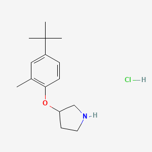 molecular formula C15H24ClNO B1440811 3-[4-(叔丁基)-2-甲基苯氧基]吡咯烷盐酸盐 CAS No. 1220030-71-6