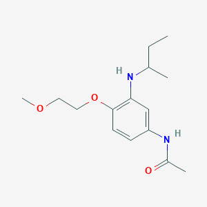 N-{3-[(Butan-2-yl)amino]-4-(2-methoxyethoxy)phenyl}acetamide