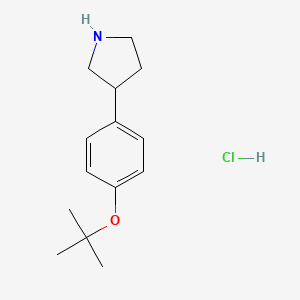 molecular formula C14H22ClNO B1441021 3-(4-叔丁氧基苯基)-吡咯烷盐酸盐 CAS No. 1187931-72-1