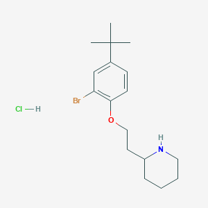 2-{2-[2-Bromo-4-(tert-butyl)phenoxy]-ethyl}piperidine hydrochloride
